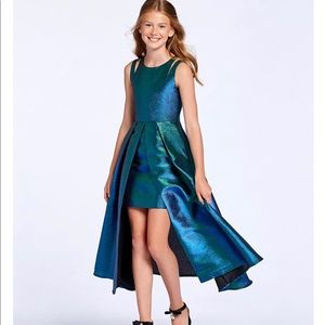 Rare Editions Big Girls dress Two-Toned Iridescent